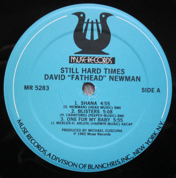 David "Fathead" Newman – Still Hard Times, image 3